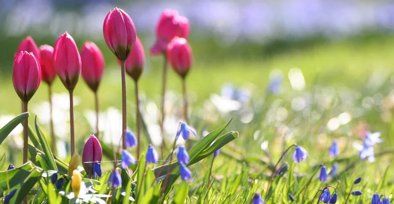 Наурызда қазақстандықтар қанша күн демалады?