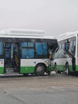 Қызылордада екі автобус соқтығысты