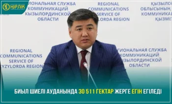 Биыл Шиелі ауданында 30 511 гектар жерге егін егіледі