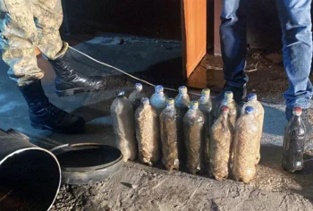 Сарыағаш жақтағы шекарадан ірі көлемде есірткі кіргізбек болғандар ұсталды