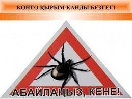 Кенеден келер кесір көп