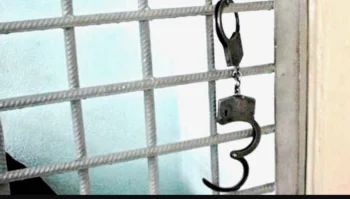 Қызылордада қаржы пирамидасын құрған азаматша 5 жылға сотталды