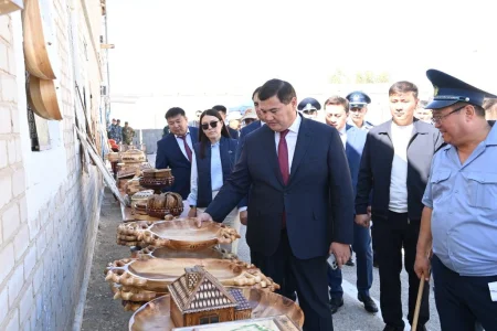 Облыс әкімі қылмыстық атқару жүйесі департаменті №60 мекемесінің жұмысымен танысты